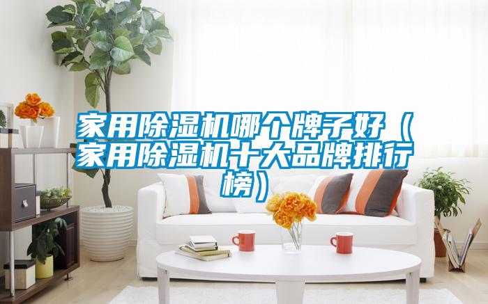 家用除濕機哪個牌子好(家用除濕機十大品牌排行榜)